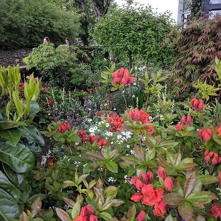 Couette-café 1 Park Road Windermere